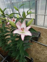 [5663 VZ W09 0222-02 No01.JPG]